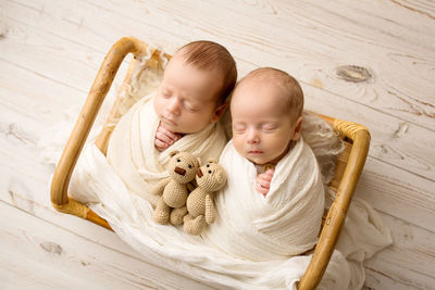 High angle view of twins in basket