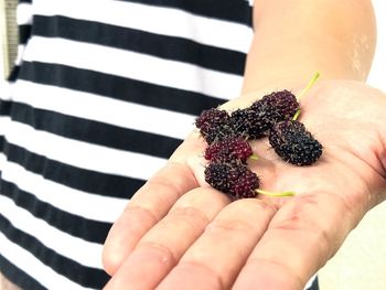 Close-up of hand holding strawberry