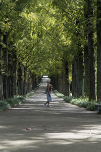 Woman walking on road amidst trees in forest