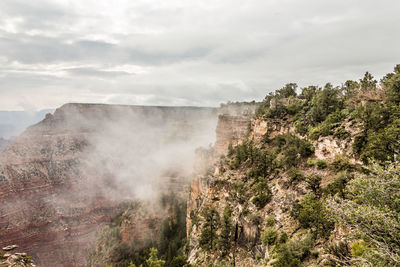 Panoramic view of trees on landscape against sky