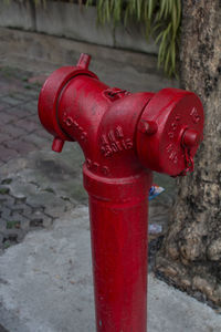 Close-up of fire hydrant