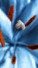 Close-up of wet car window
