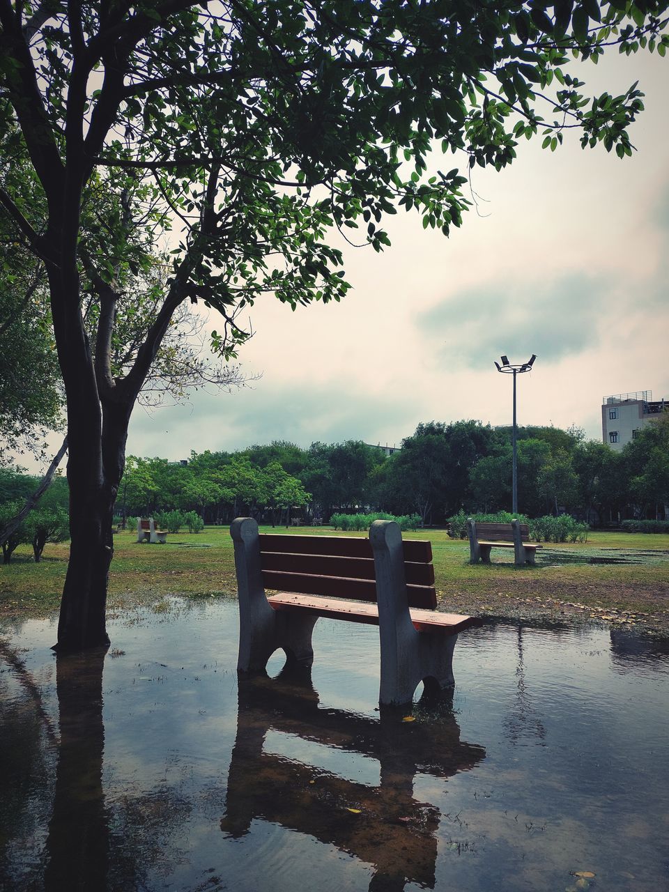 EMPTY BENCH IN PARK DURING SUNSET