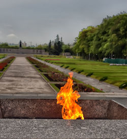 Bonfire on road in city against sky