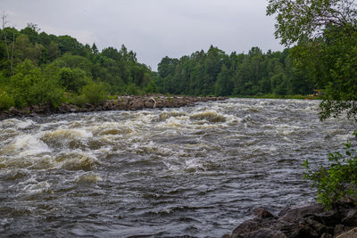 Scenic view of river flowing in forest against sky