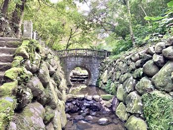 Arch bridge over rocks in forest
