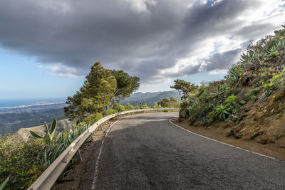 Road amidst plants and trees against sky
