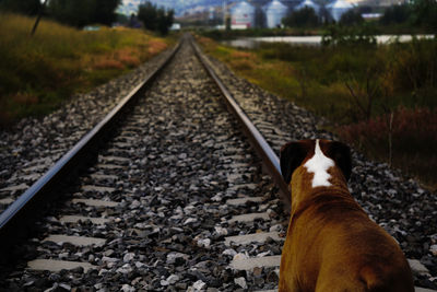 View of railroad tracks