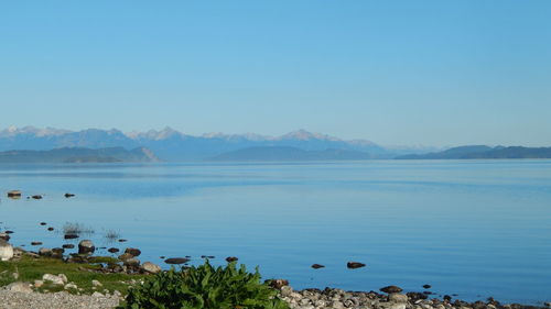 Scenic view of sea against clear blue sky from argentina