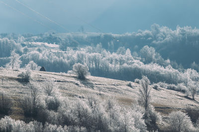 Scenic view of snow covered trees on landscape