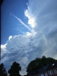 Low angle view of trees against cloudy sky