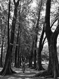 Man walking on bare trees in forest