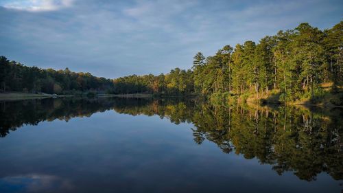 Reflection of trees in lake against sky