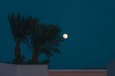 Low angle view of silhouette trees against clear blue sky
