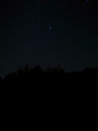 Low angle view of silhouette trees against sky at night