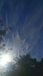 Low angle view of silhouette trees against sky