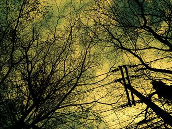 Low angle view of silhouette bare trees against sky