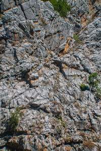 Low angle view of rock formation on land