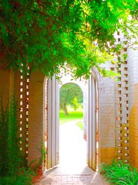 Walkway leading to footpath