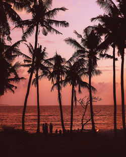 Silhouette palm trees on beach against sky during sunset