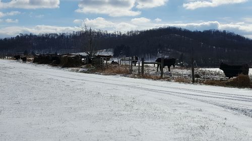 Scenic view of field against sky during winter