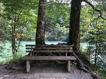 Empty bench in park