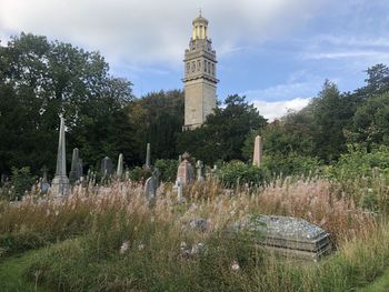 Plants growing by temple against sky