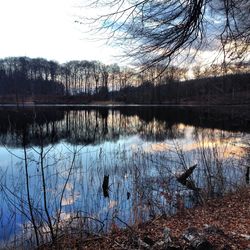 Reflection of trees in lake against clear sky