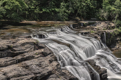 Scenic view of waterfall in forest