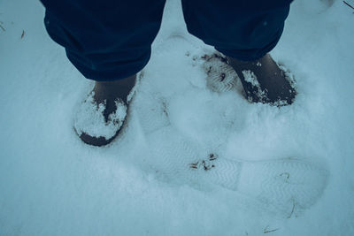 Low section of person skiing on snow