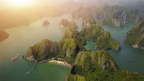 High angle view of trees by lake