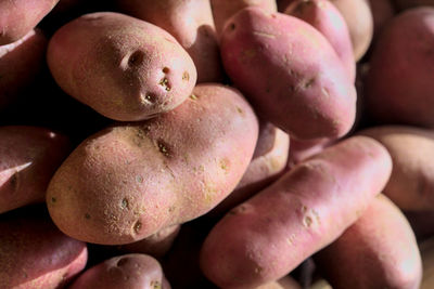 Close-up of fruits for sale in market