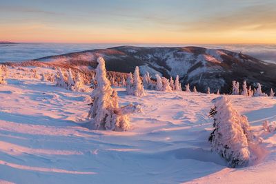 Scenic view of snow covered landscape against sky during sunset