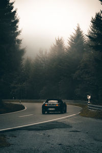 Cars on road by trees against sky