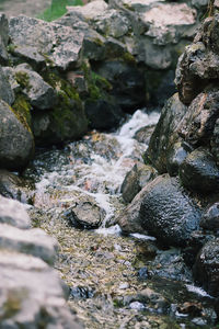 Close-up of turtle on rock