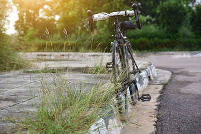 Bicycle parked on footpath against trees at park