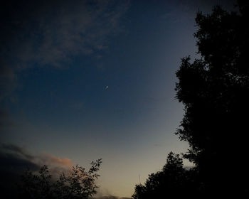 Low angle view of silhouette trees against sky