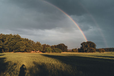 Scenic view of rainbow over trees on field against sky