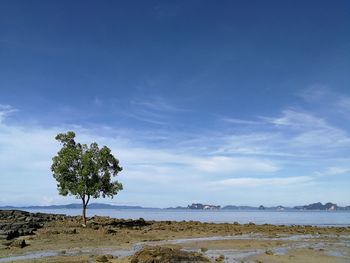 Scenic view of landscape against blue sky