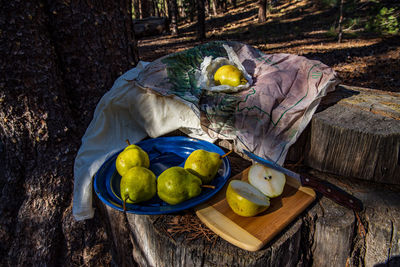 Still life on tree trunk in forest with pears and cloth printed map