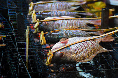 Fishes on barbecue grill