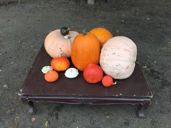 High angle view of pumpkins on pumpkin during autumn