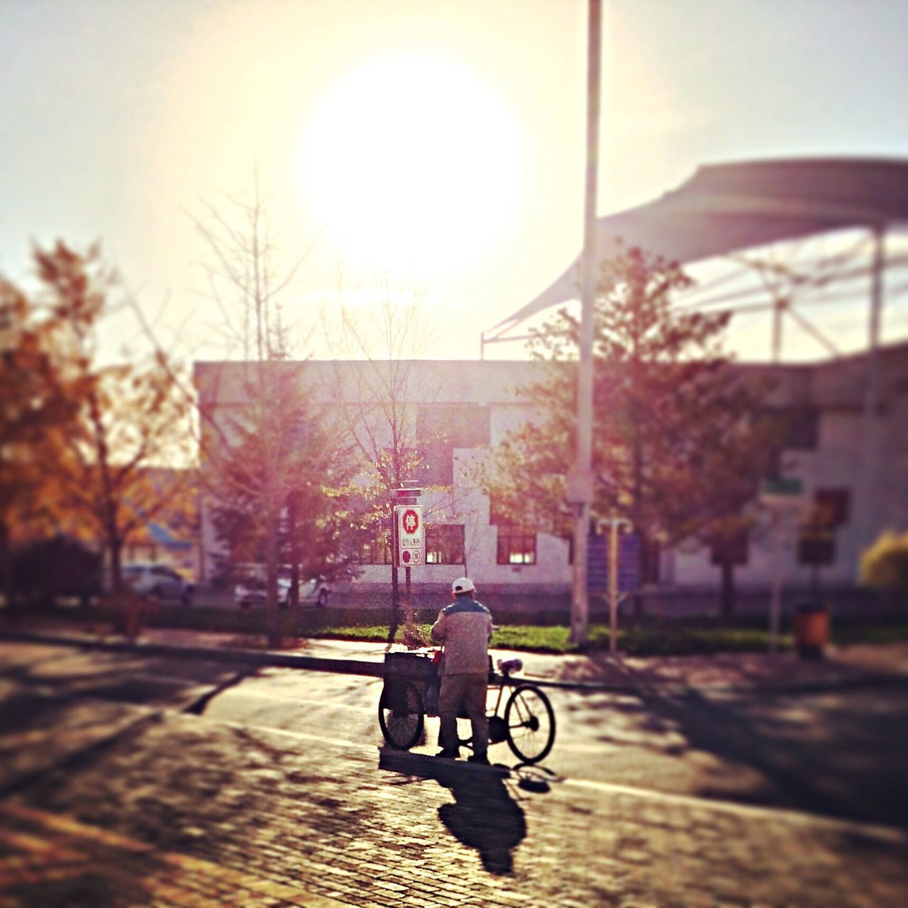 transportation, mode of transport, land vehicle, street, car, sunlight, tree, built structure, stationary, bicycle, architecture, parking, road, building exterior, parked, sun, outdoors, lens flare, day, shadow