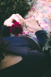 Close-up of woman holding pink rose