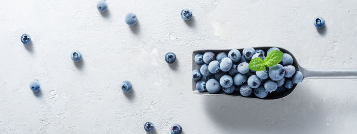 High angle view of fruits on white wall