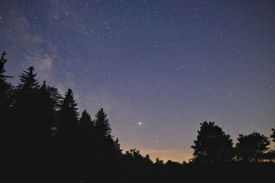 Low angle view of silhouette trees against sky at night