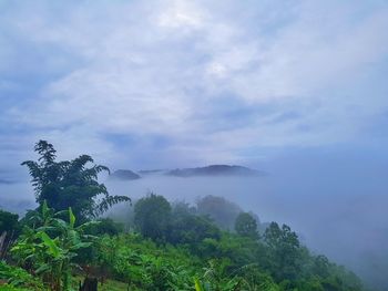 Scenic view of trees and mountains against sky