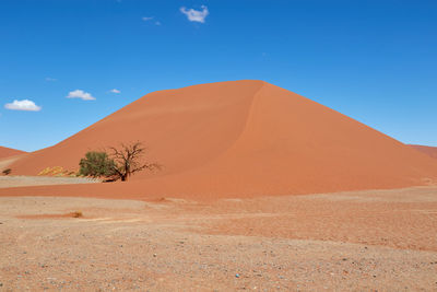 Sand dune in namib-naukluft national park