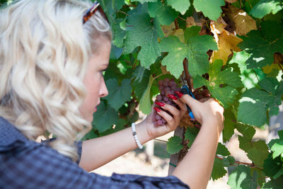 Midsection of woman holding plant