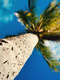 Low angle view of palm tree against blue sky